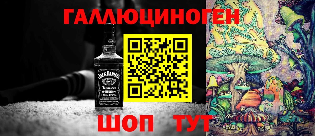 Галлюциногенные грибы GOLDEN TEACHER  Вход с VPN  купить наркотик  Шарыпово 